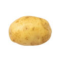狂野破忒头🥔